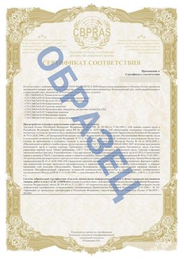 Образец Приложение к СТО 01.064.00220722.2-2020 Тобольск Сертификат СТО 01.064.00220722.2-2020 